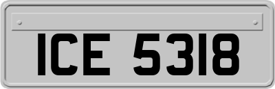 ICE5318