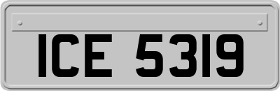 ICE5319
