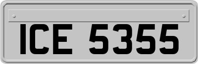 ICE5355