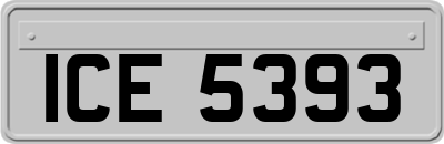 ICE5393