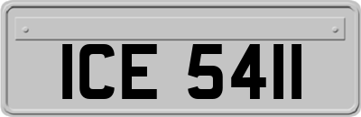 ICE5411