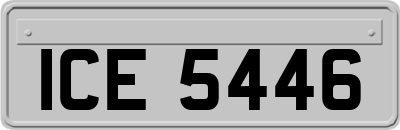 ICE5446