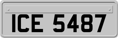 ICE5487