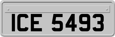 ICE5493