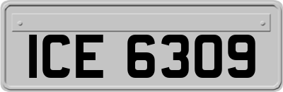 ICE6309