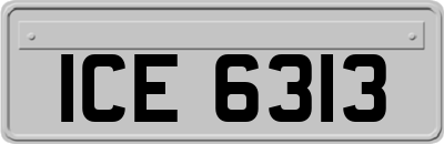 ICE6313