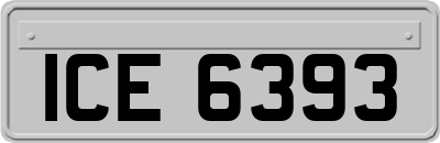 ICE6393