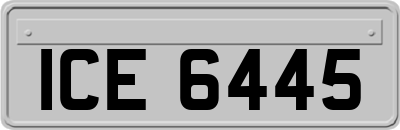 ICE6445
