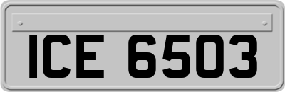 ICE6503
