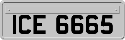 ICE6665
