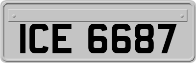 ICE6687