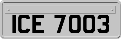 ICE7003