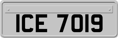 ICE7019