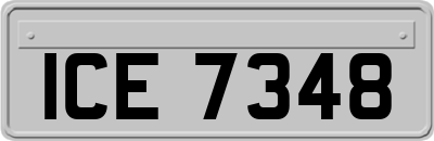 ICE7348