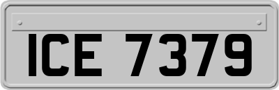 ICE7379