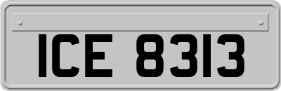 ICE8313
