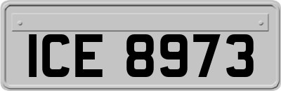 ICE8973