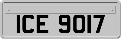 ICE9017