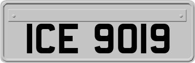 ICE9019