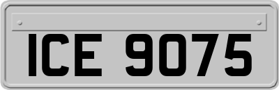 ICE9075