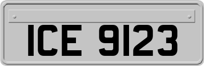 ICE9123