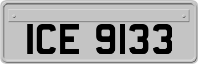 ICE9133