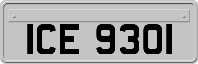 ICE9301