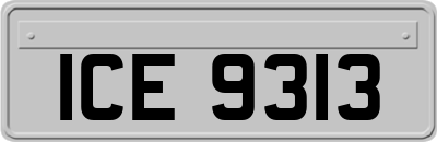 ICE9313