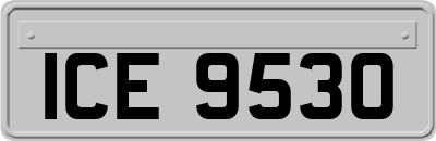 ICE9530