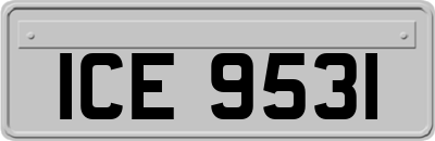 ICE9531