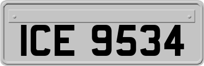 ICE9534