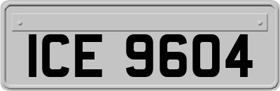 ICE9604