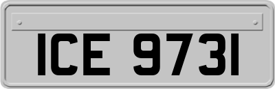 ICE9731