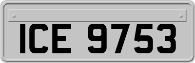 ICE9753