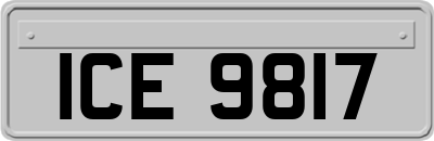 ICE9817