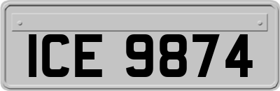 ICE9874