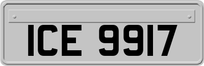 ICE9917