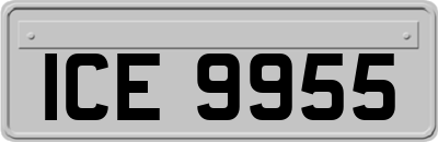 ICE9955