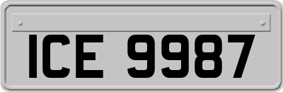 ICE9987