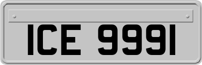 ICE9991
