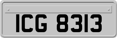 ICG8313
