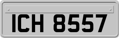 ICH8557