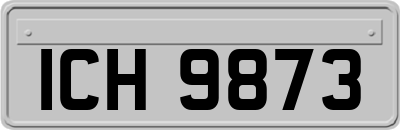 ICH9873