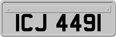 ICJ4491