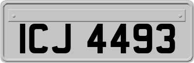 ICJ4493