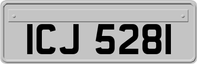 ICJ5281