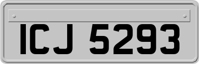 ICJ5293