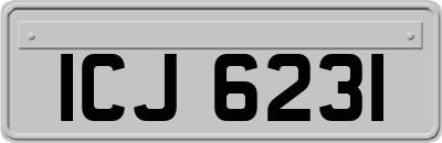 ICJ6231