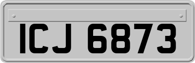 ICJ6873