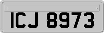 ICJ8973